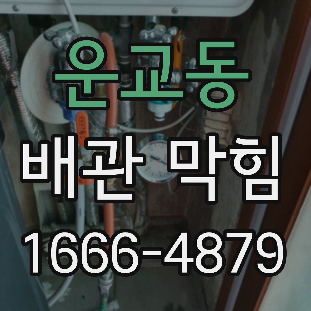 운교동 배관 막힘