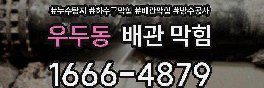 우두동 배관 막힘