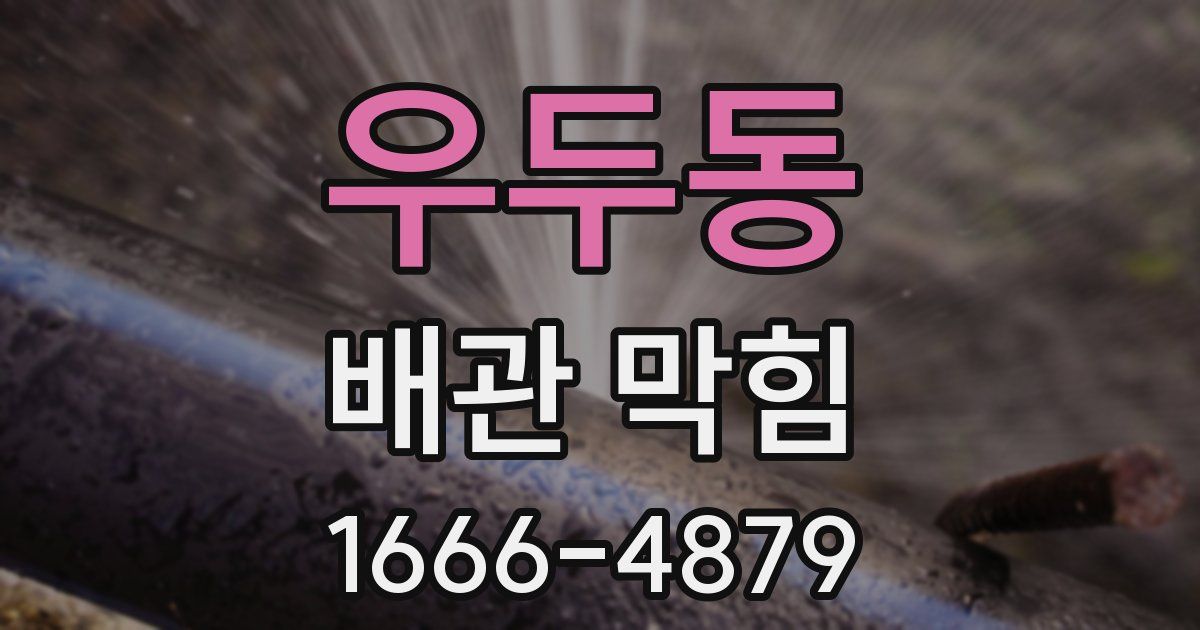 우두동 배관 막힘