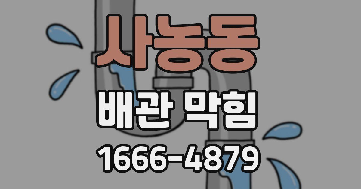 사농동 배관 막힘