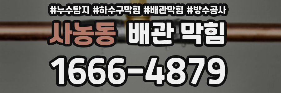사농동 배관 막힘