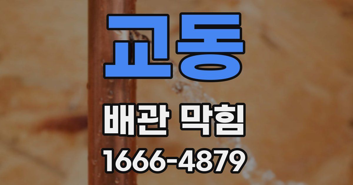 교동 배관 막힘