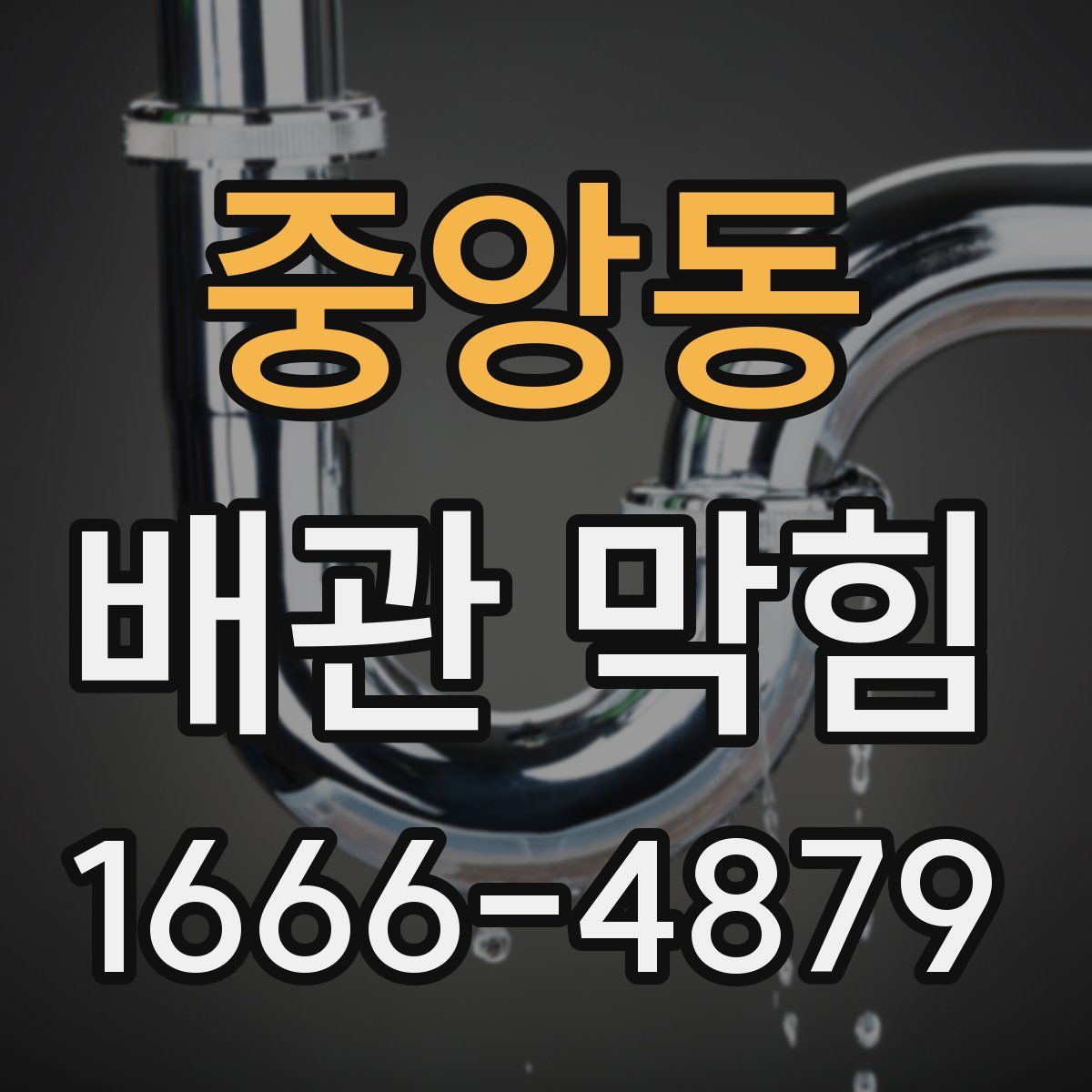 중앙동 배관 막힘