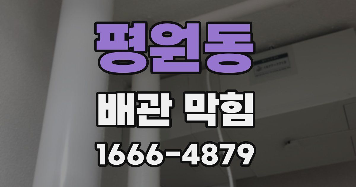 평원동 배관 막힘
