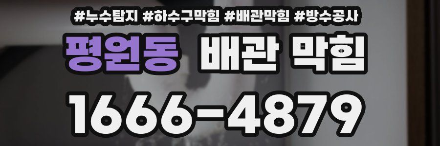 평원동 배관 막힘