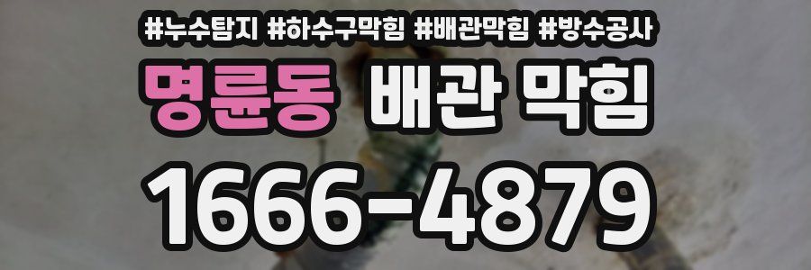 명륜동 배관 막힘