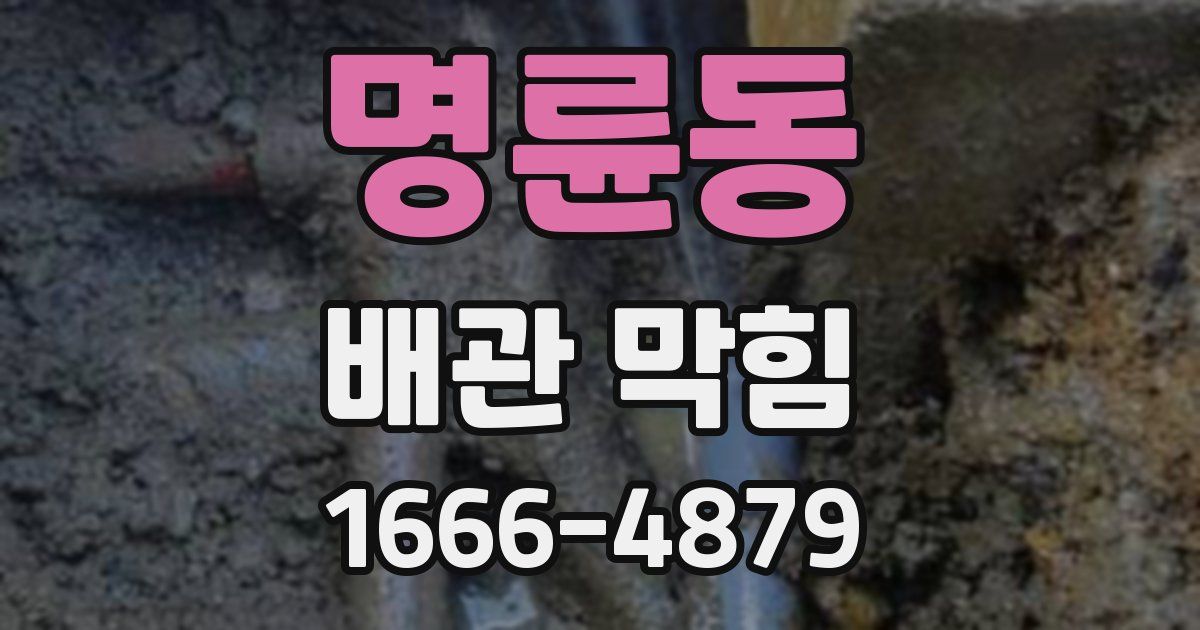 명륜동 배관 막힘