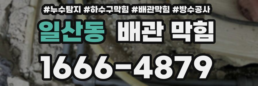 일산동 배관 막힘