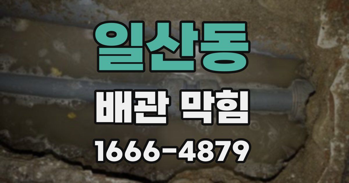 일산동 배관 막힘