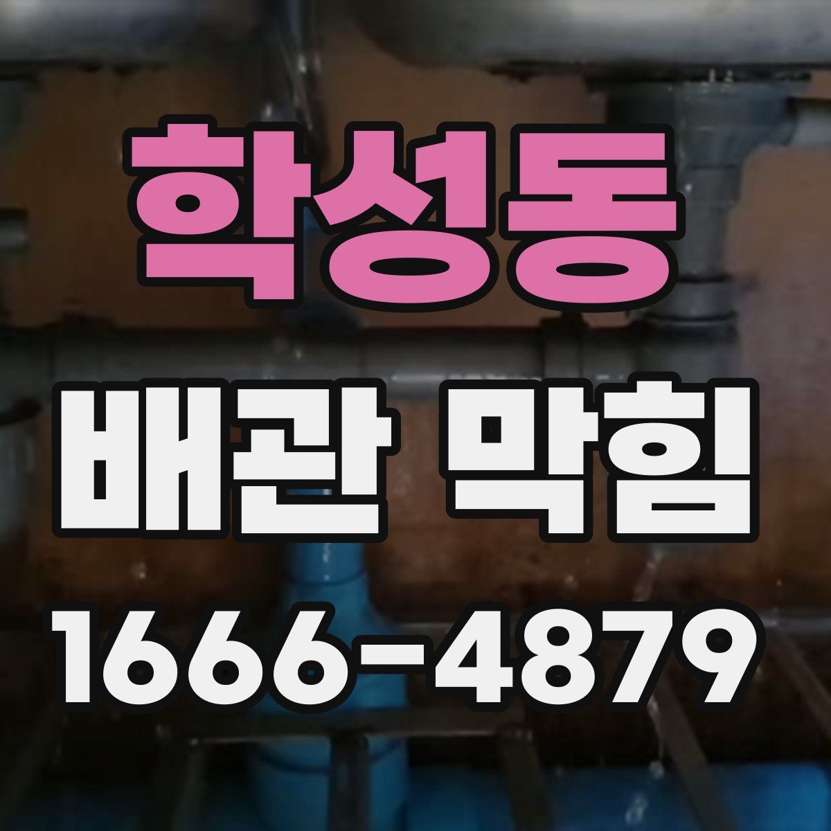 학성동 배관 막힘