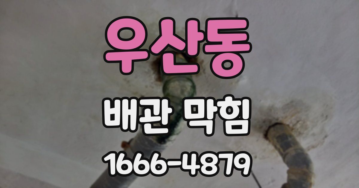 우산동 배관 막힘