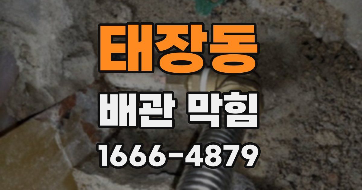 태장동 배관 막힘