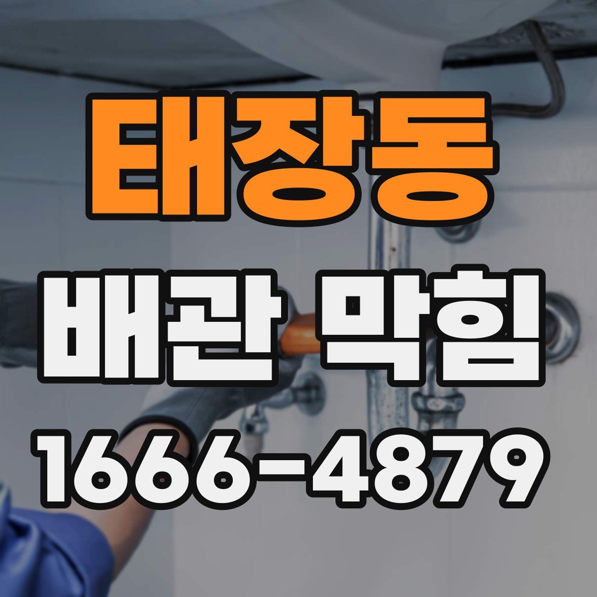 태장동 배관 막힘