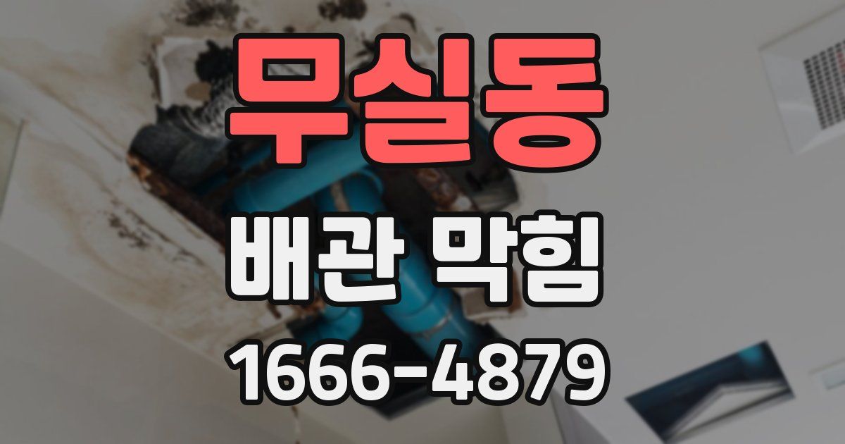 무실동 배관 막힘