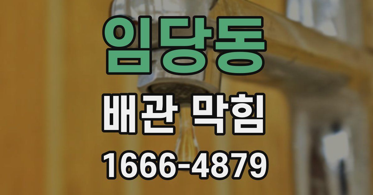 임당동 배관 막힘