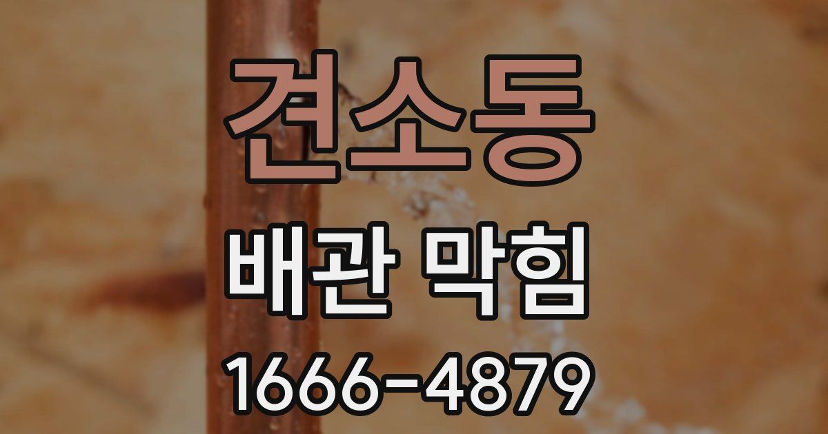 견소동 배관 막힘