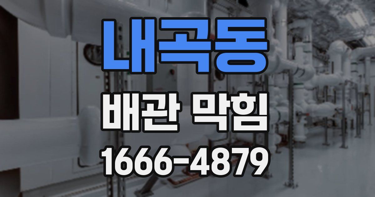 내곡동 배관 막힘