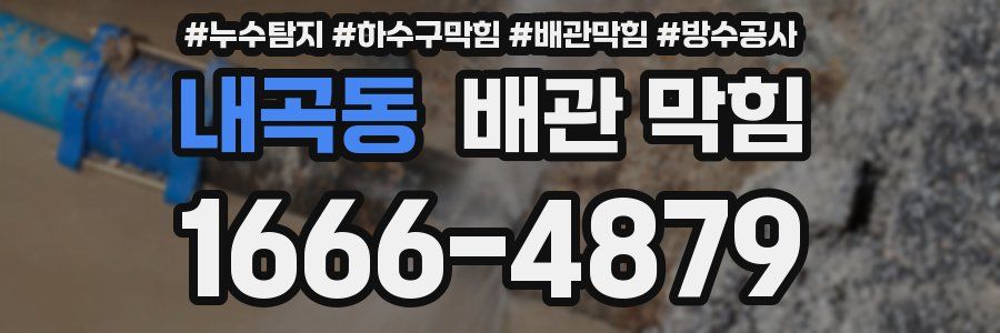 내곡동 배관 막힘