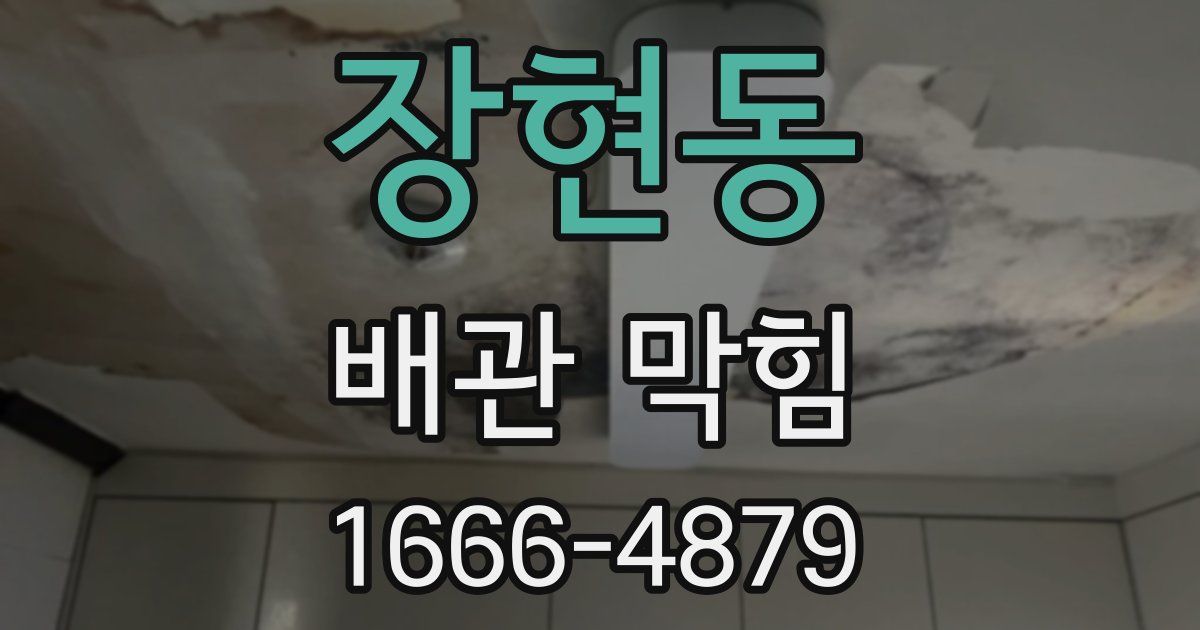 장현동 배관 막힘