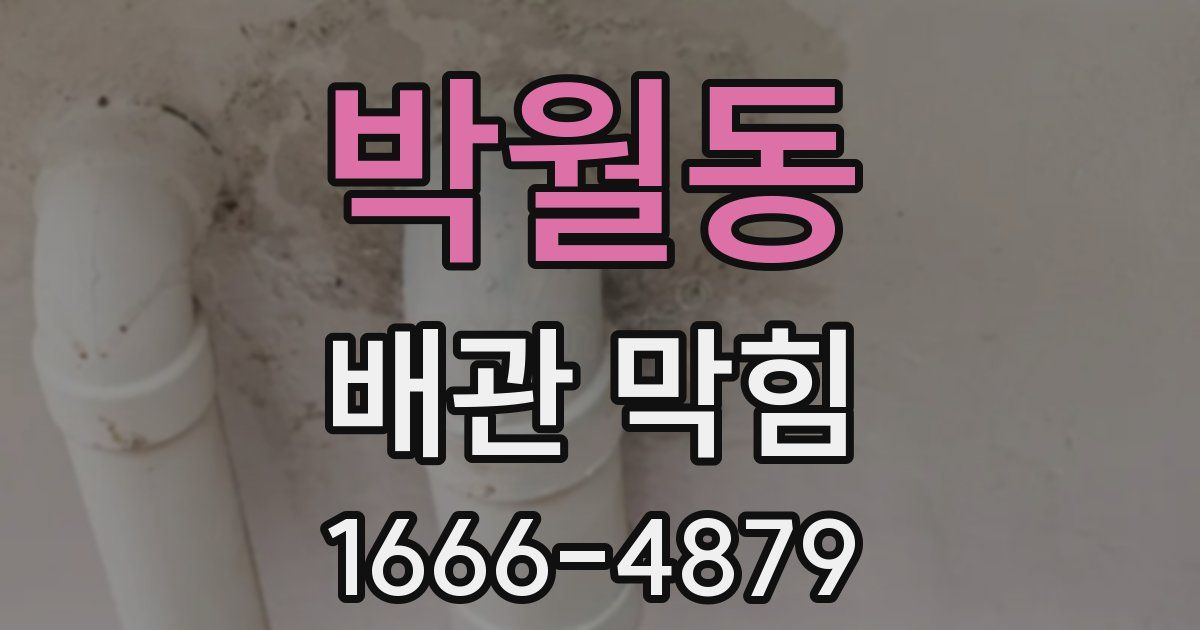 박월동 배관 막힘