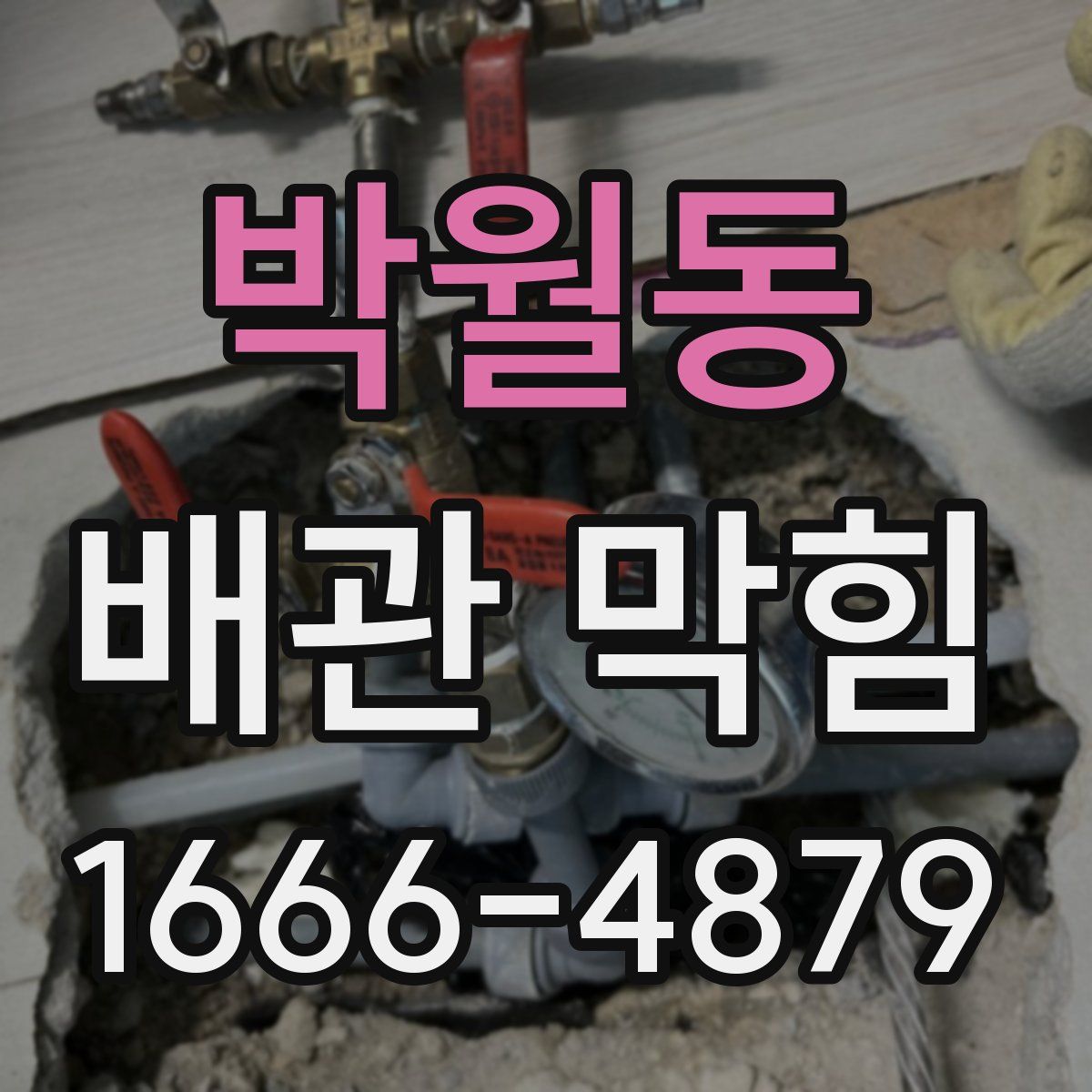 박월동 배관 막힘