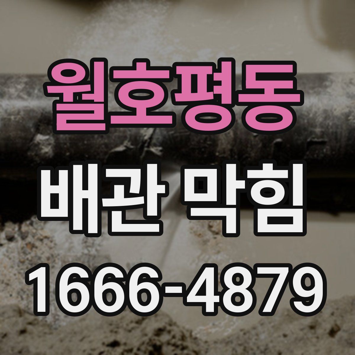 월호평동 배관 막힘