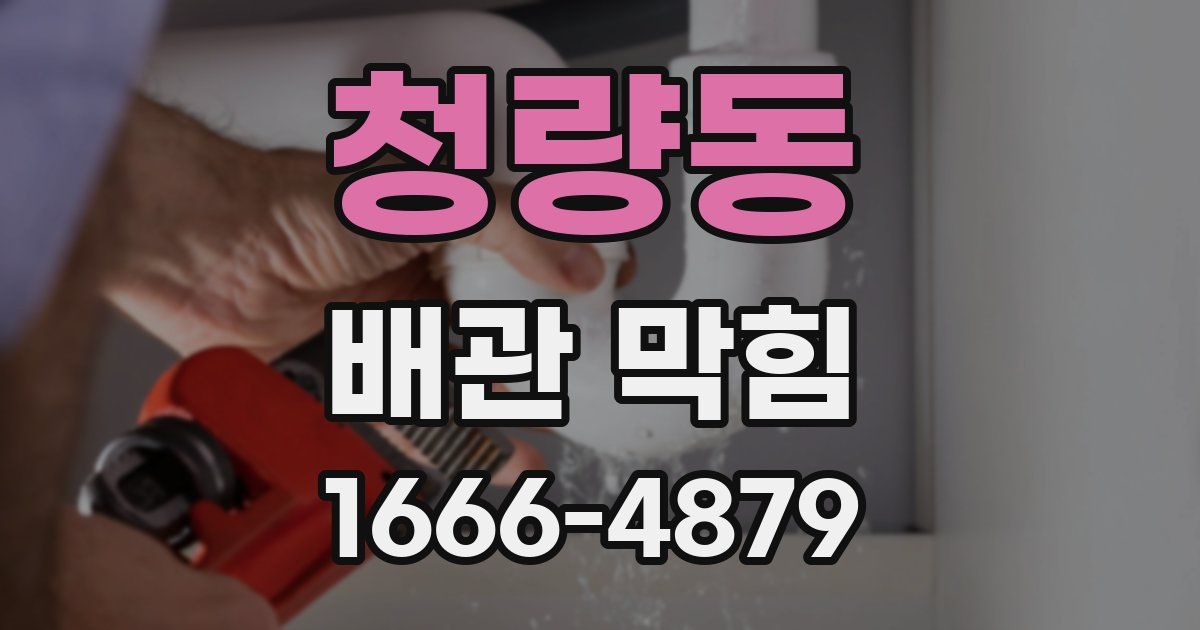 청량동 배관 막힘