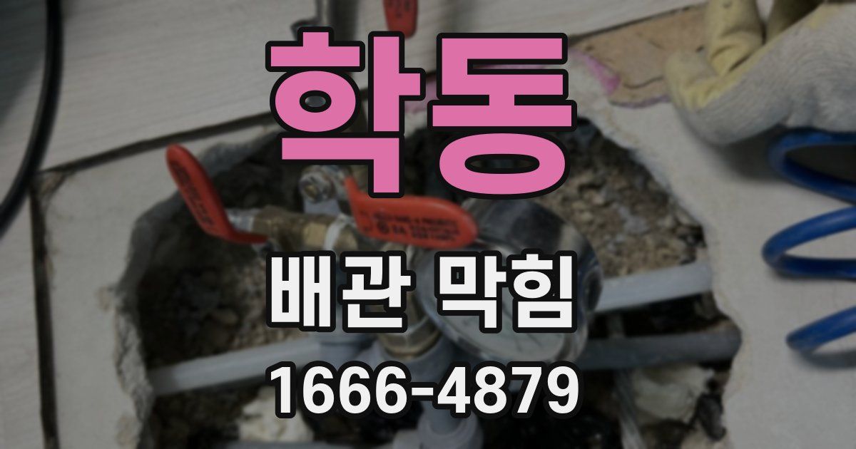 학동 배관 막힘