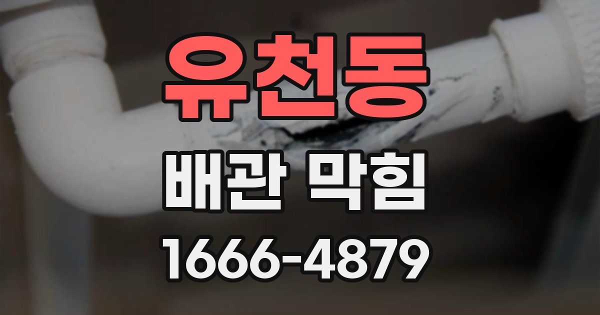 유천동 배관 막힘