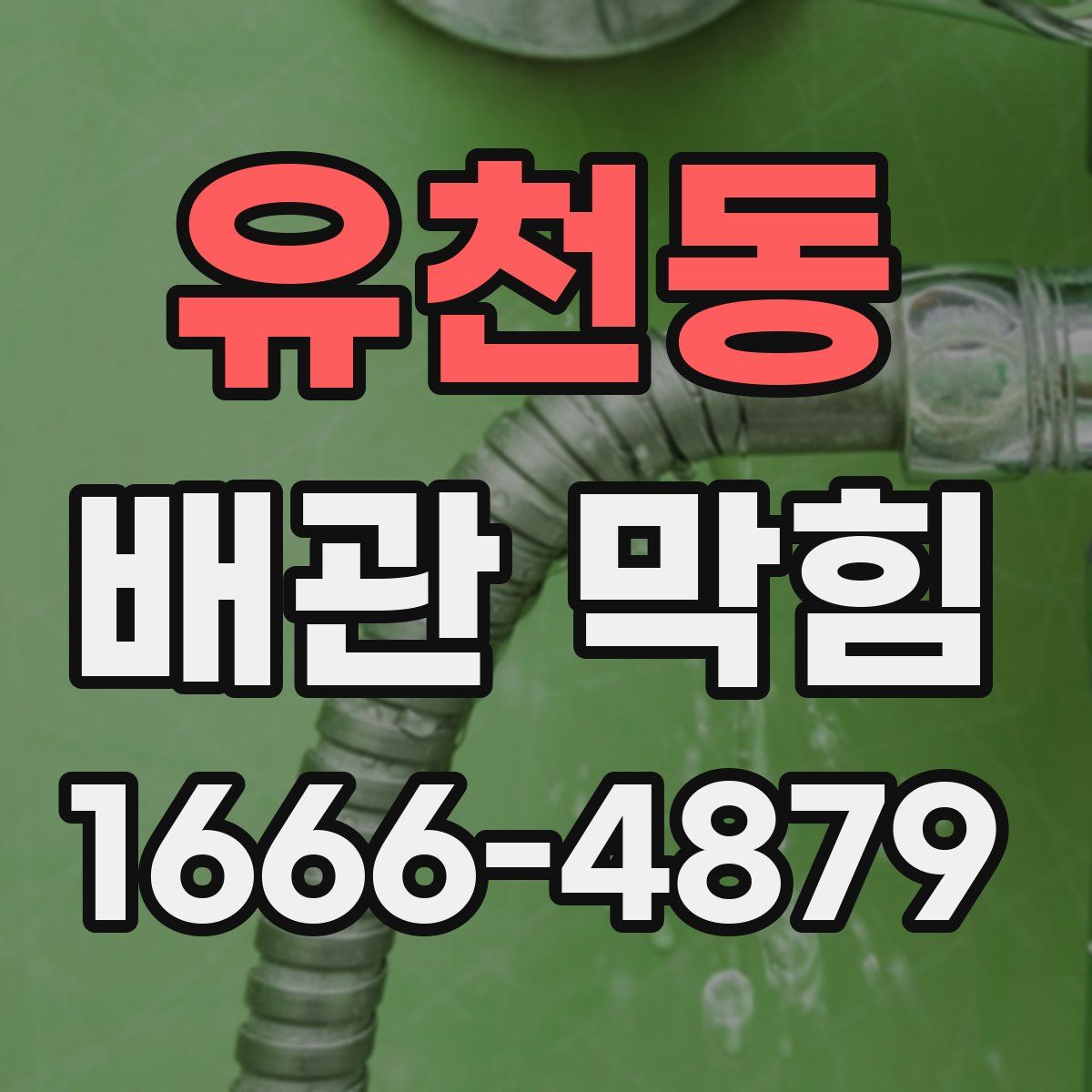 유천동 배관 막힘