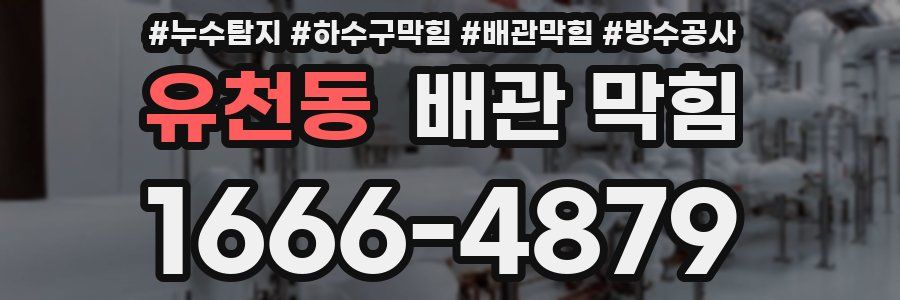 유천동 배관 막힘