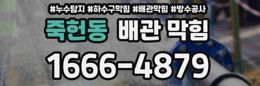 죽헌동 배관 막힘