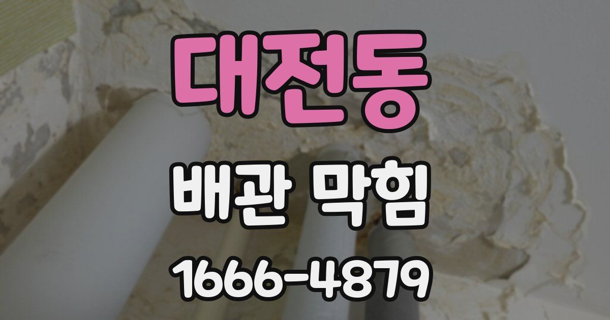 대전동 배관 막힘