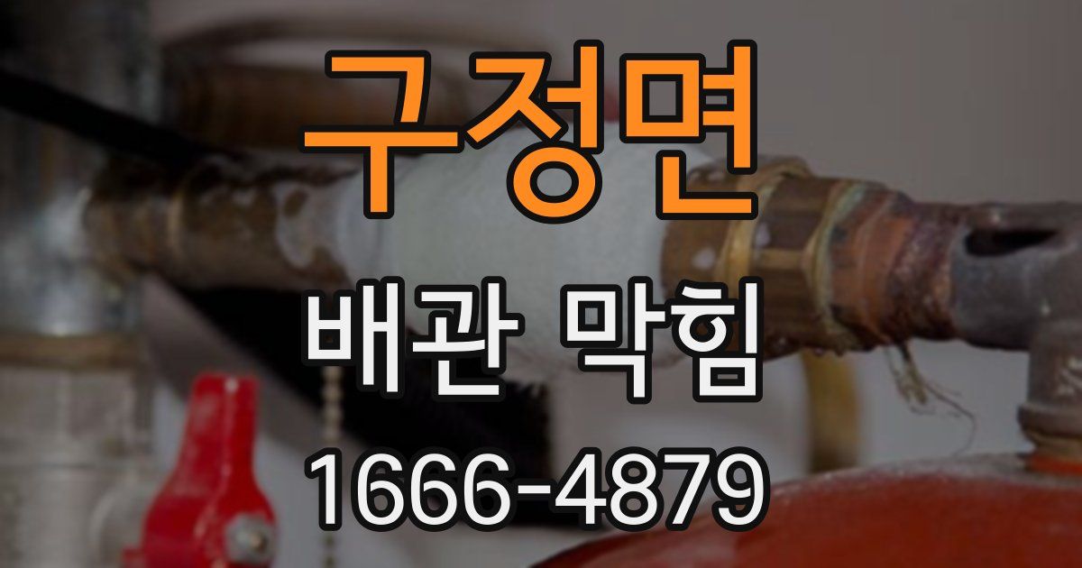 구정면 배관 막힘