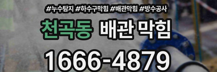 천곡동 배관 막힘