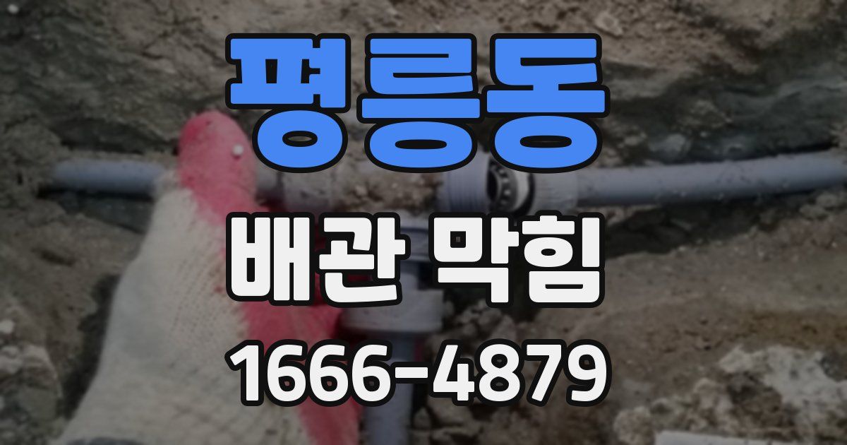 평릉동 배관 막힘