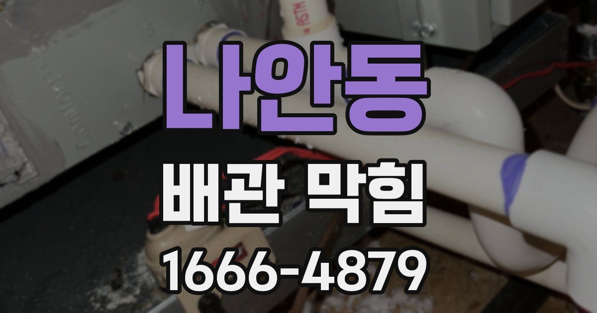 나안동 배관 막힘