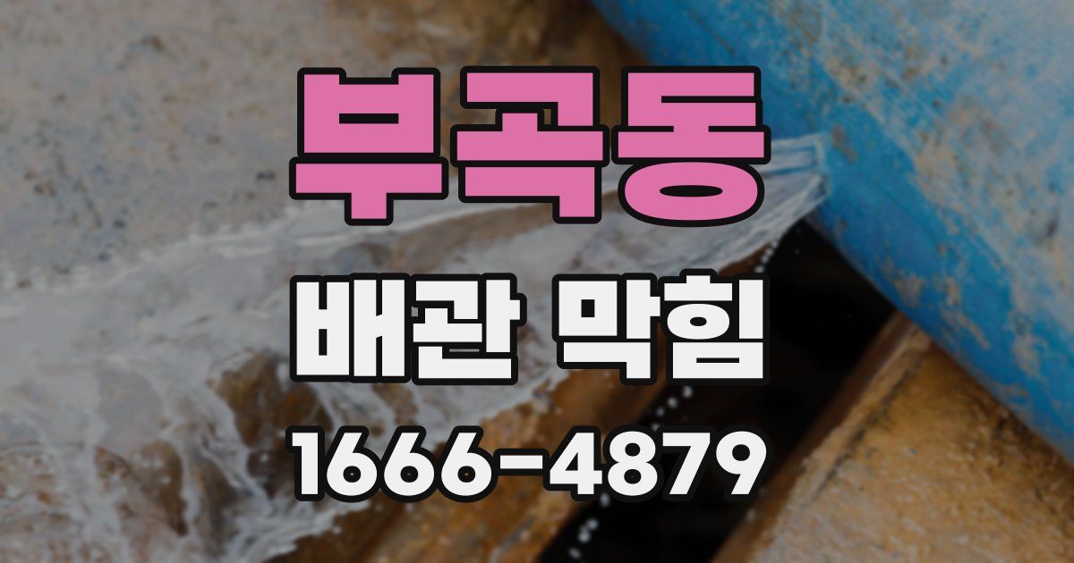 부곡동 배관 막힘