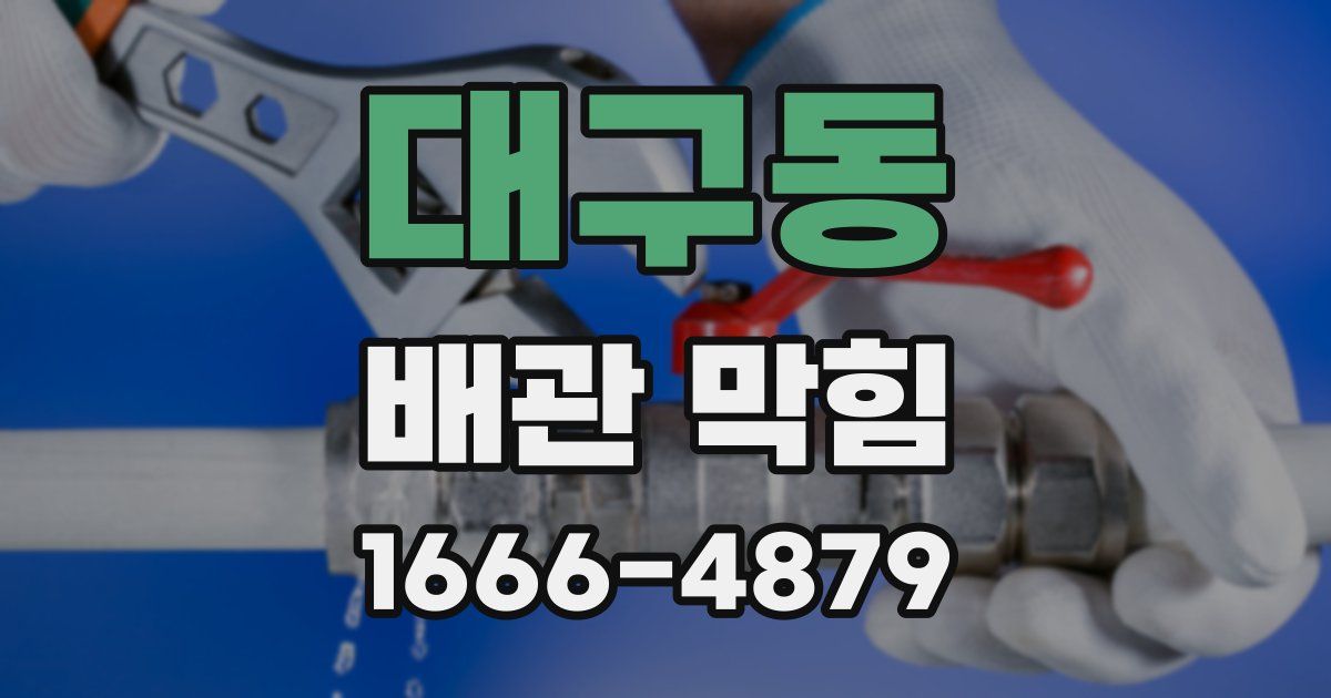 대구동 배관 막힘