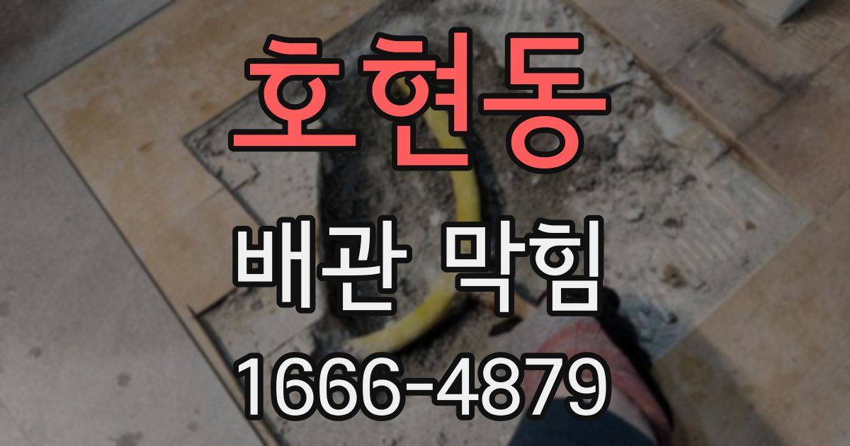 호현동 배관 막힘