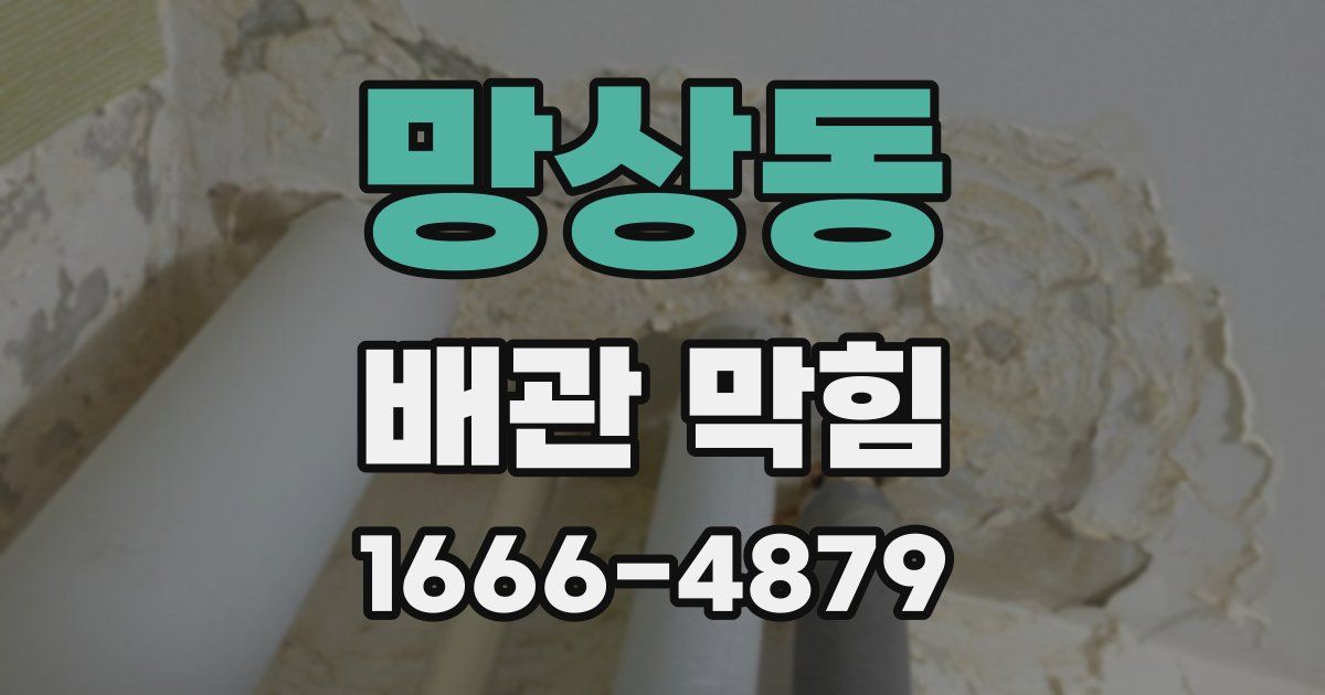 망상동 배관 막힘