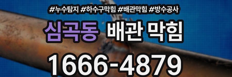 심곡동 배관 막힘