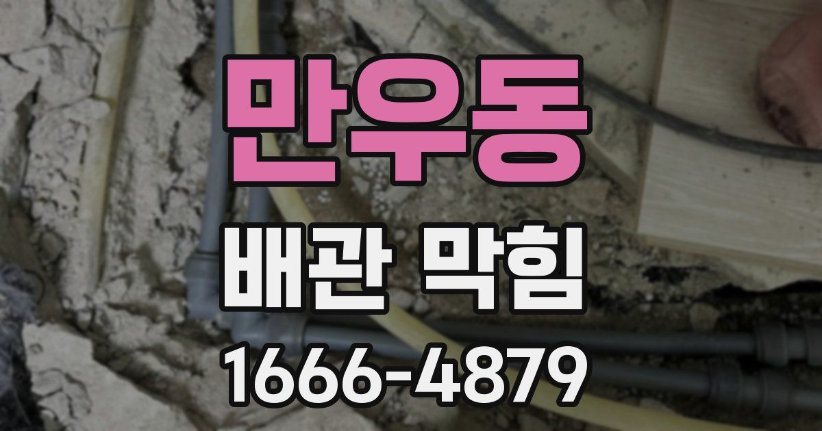 만우동 배관 막힘