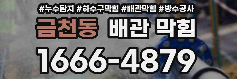 금천동 배관 막힘