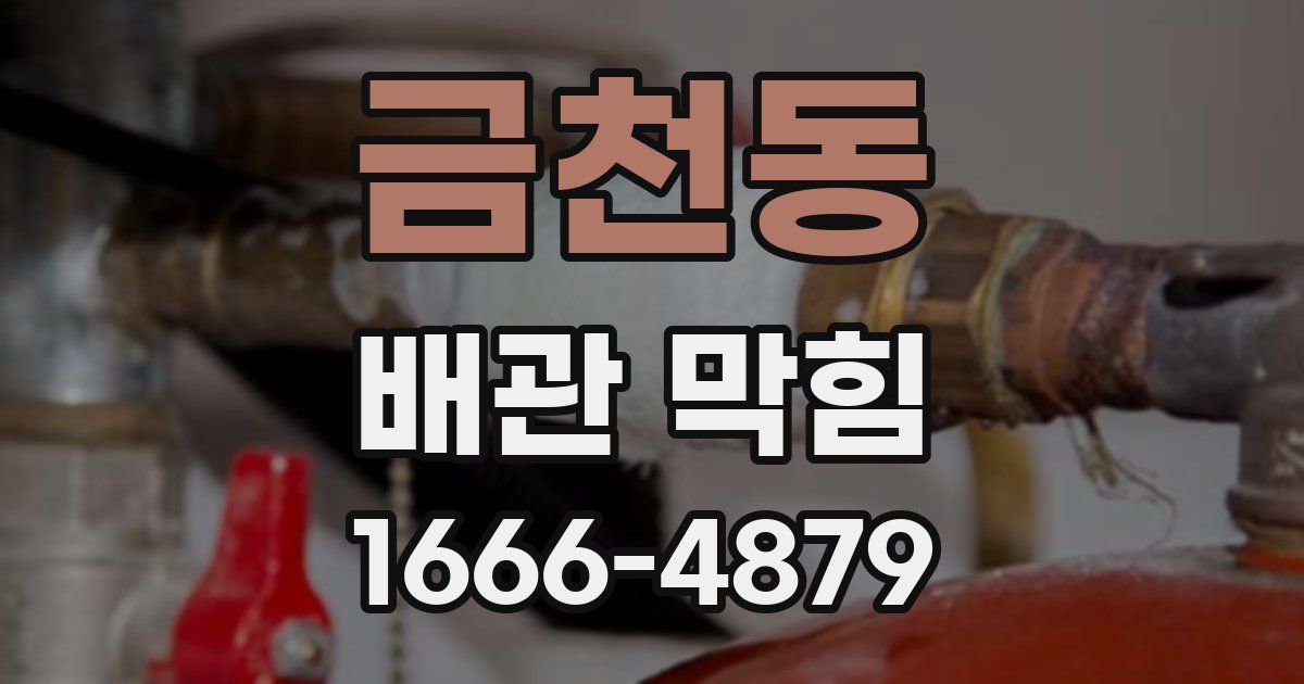 금천동 배관 막힘