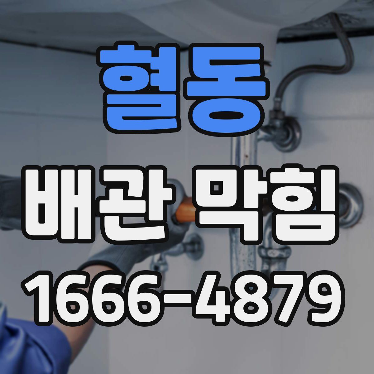혈동 배관 막힘