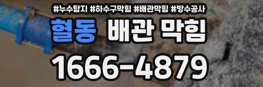 혈동 배관 막힘