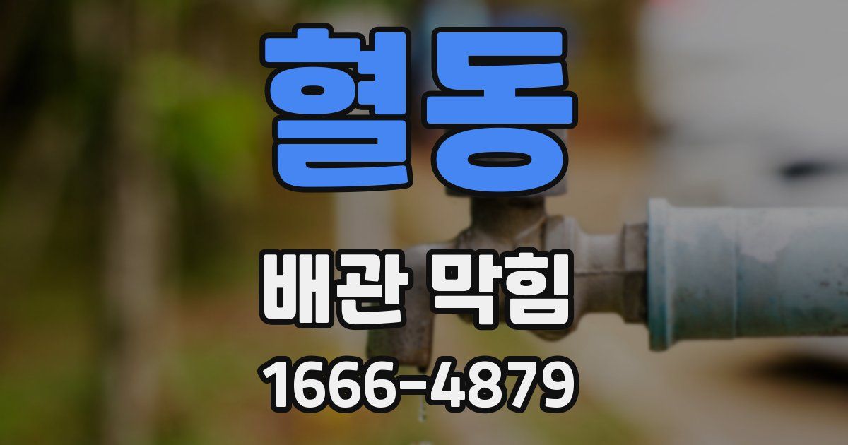 혈동 배관 막힘