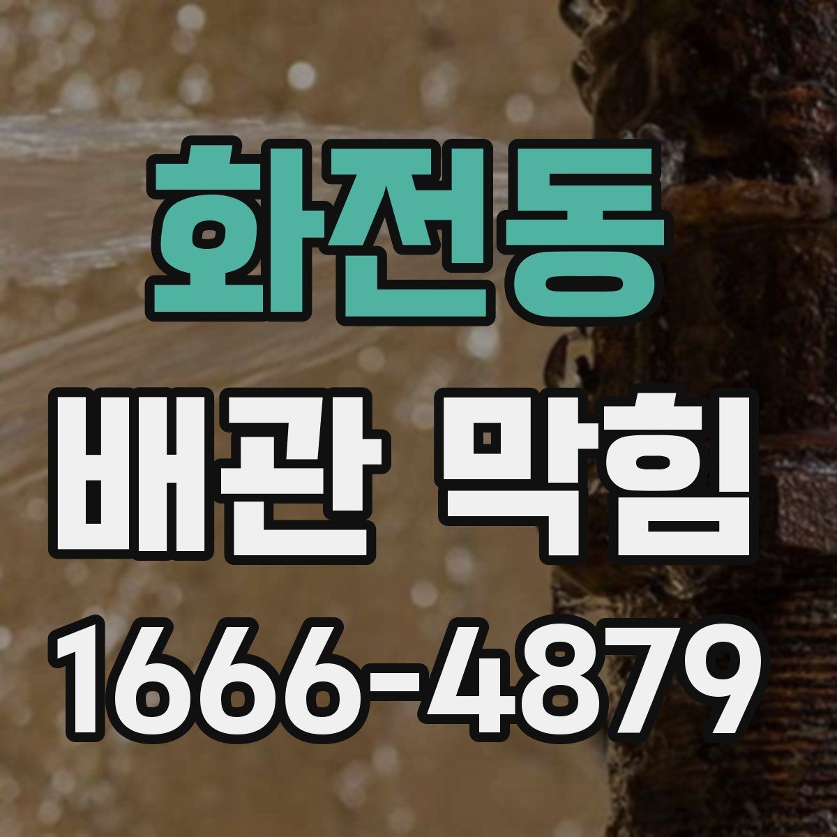 화전동 배관 막힘