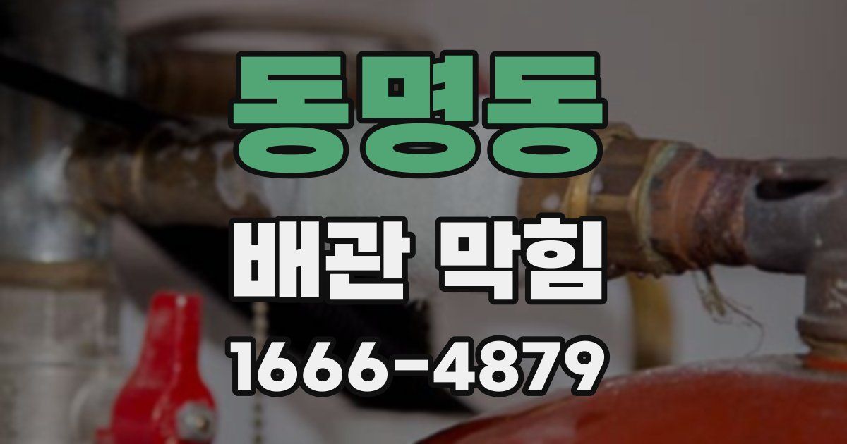 동명동 배관 막힘